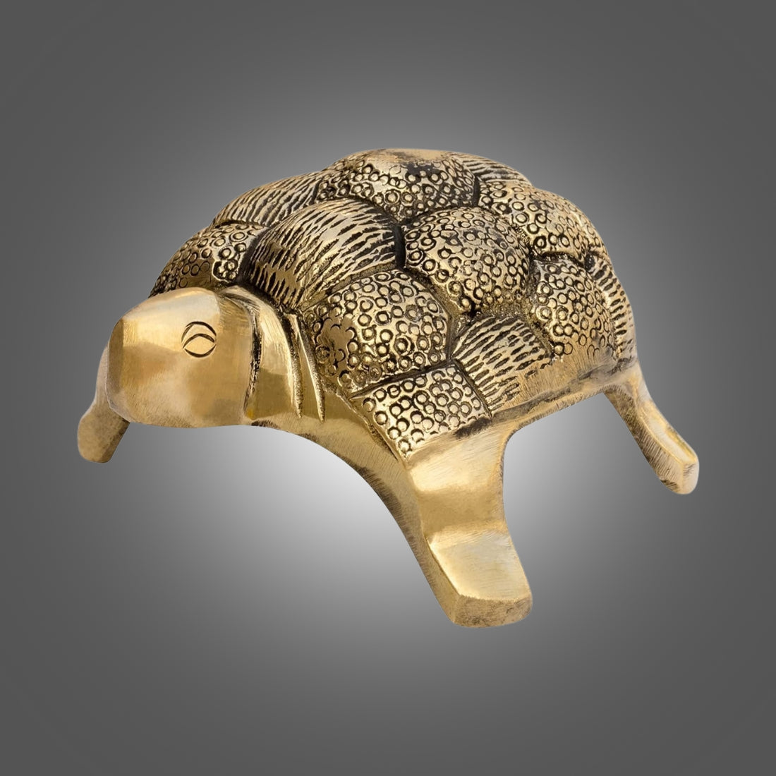 Brass small tortoise idol front three-quarter view against a dark studio background