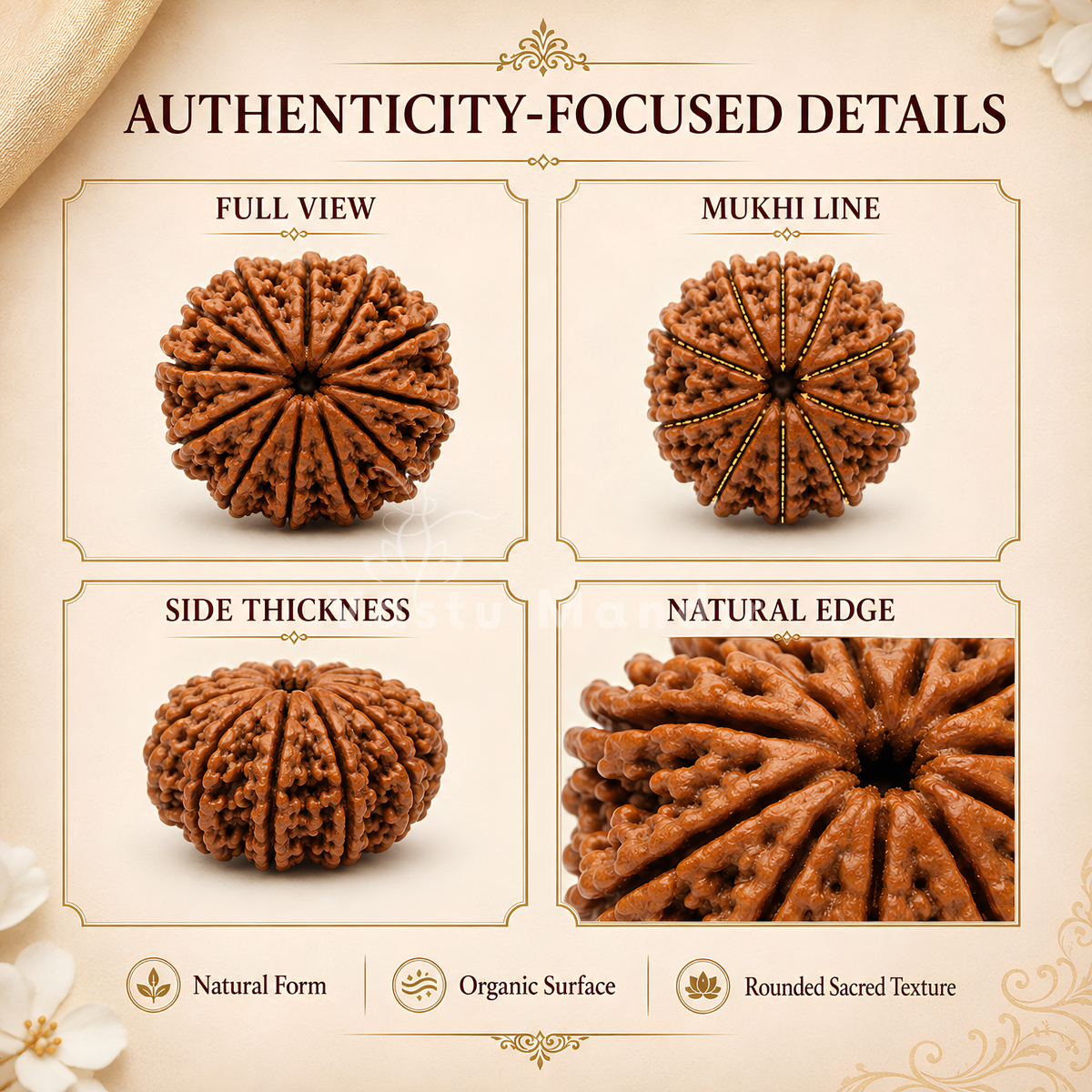 Lab Certified 10 Mukhi Rudraksha – Vastu Remedy for Evil Eye Protection & Peace | Ideal for Main Door & Vishnu Altars