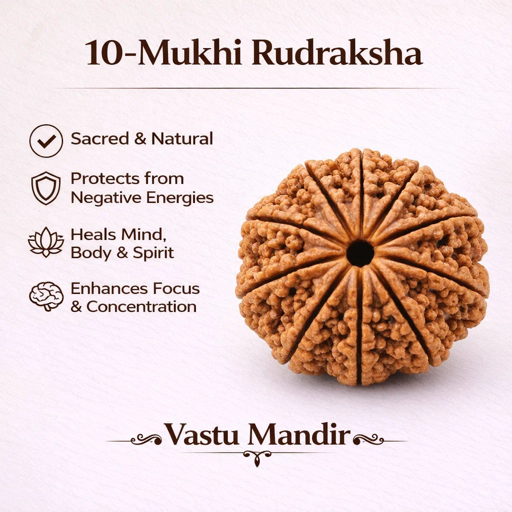 10-Mukhi Rudraksha with benefits listed on a white background