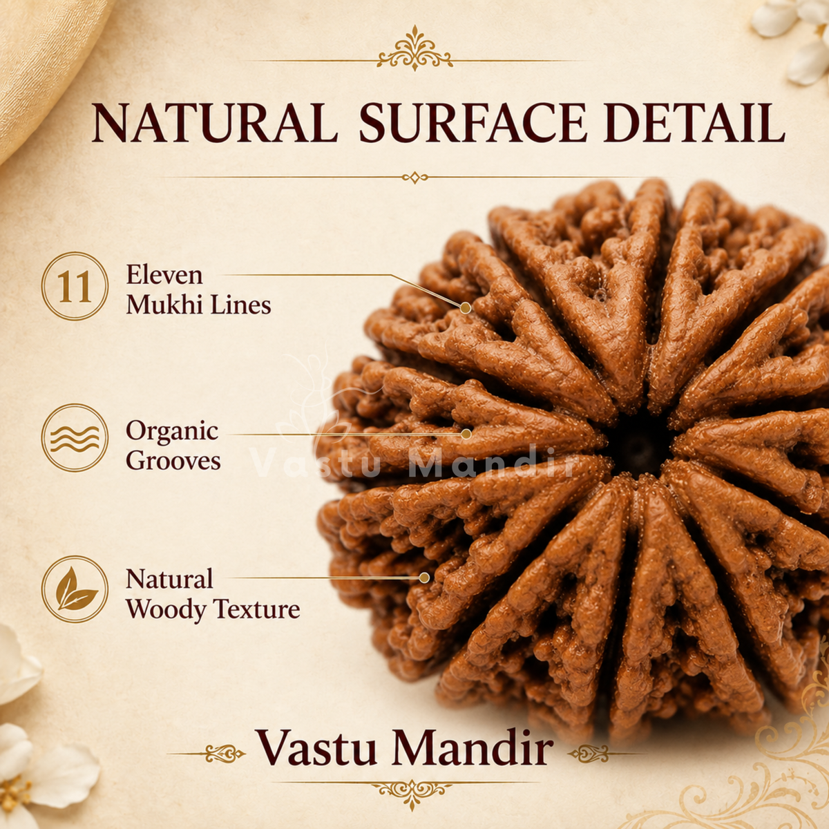 Authentic 11 Mukhi Rudraksha – Vastu Remedy for Meditation Mastery & Wisdom | Ideal for North-East Command Center