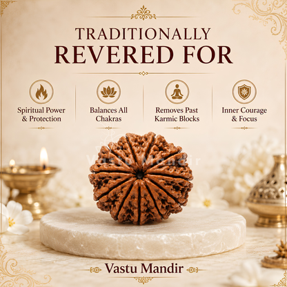 Authentic 11 Mukhi Rudraksha – Vastu Remedy for Meditation Mastery & Wisdom | Ideal for North-East Command Center