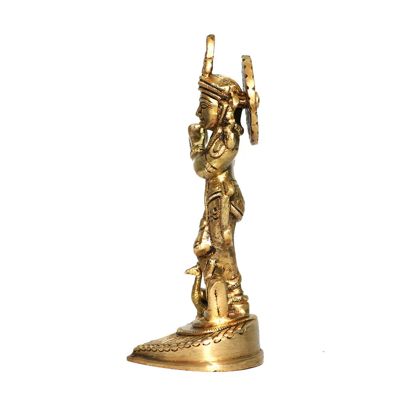 Brass Krishna Ji idol left-side view isolated on white background