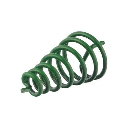 Green Vastu spring on a clean white background