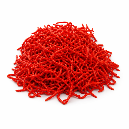 Natural Red Coral Crystals | Vastu Remedy for Courage, Protection & South Zone Activation | 20 Carat