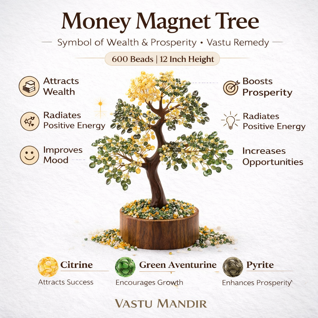 Money magnet money tree infographic summarising visible product features