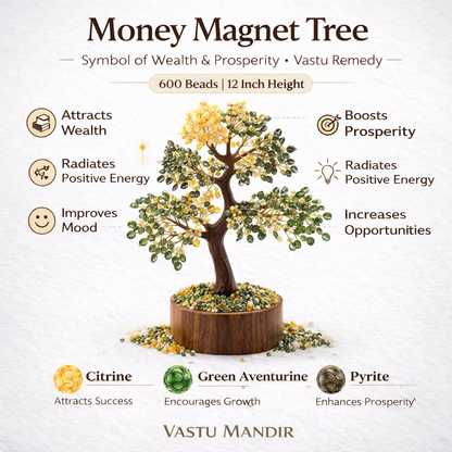 Money magnet money tree infographic summarising visible product features