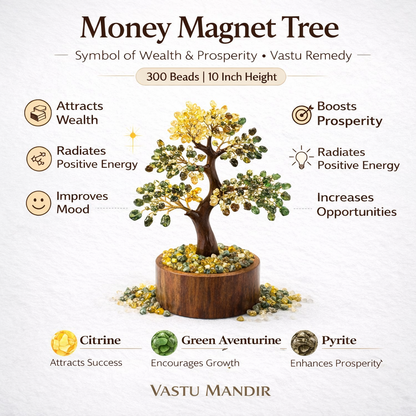 Money magnet money tree infographic summarising visible product features