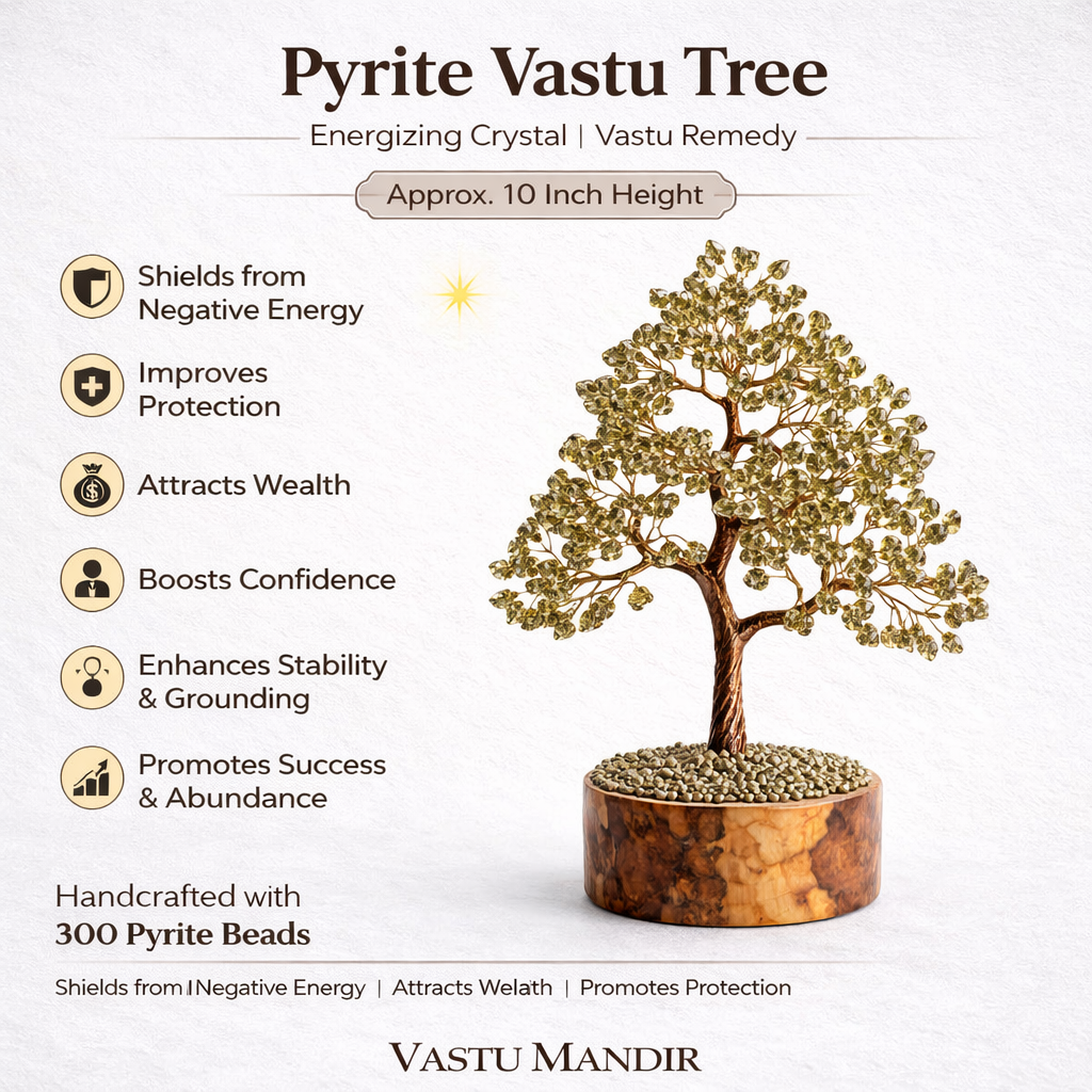 Pyrite money tree infographic summarising visible product features