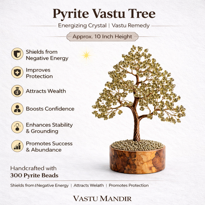 Pyrite money tree infographic summarising visible product features