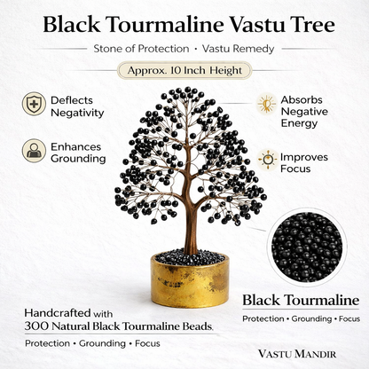 Black tourmaline crystal tree infographic summarising visible product features