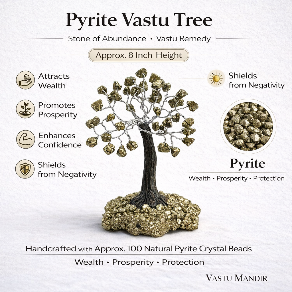 Pyrite money tree infographic summarising visible product features
