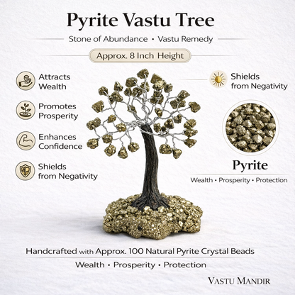 Pyrite money tree infographic summarising visible product features