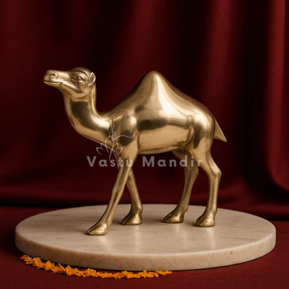 Plain-finish brass camel idol on a round white pedestal against burgundy drapery