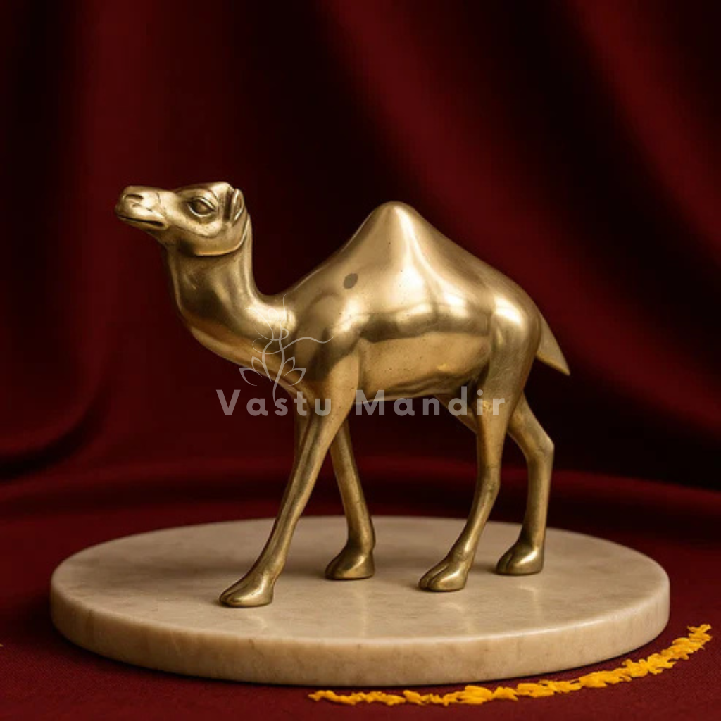 Plain-finish brass camel idol alternate side angle on a white pedestal