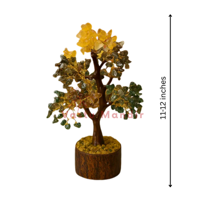 Money magnet money tree shown in a clear white-background tree view