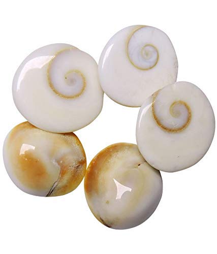  Gomati Chakra, gemstone, vastu stone, real gemstones, vastu mandir gomti chakra, vastu beefits, gomti stone for ring or Jewelry, vastu positive crystal stones, vastu mandir, raja gomti chakra stone