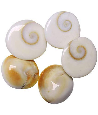  Gomati Chakra, gemstone, vastu stone, real gemstones, vastu mandir gomti chakra, vastu beefits, gomti stone for ring or Jewelry, vastu positive crystal stones, vastu mandir, raja gomti chakra stone