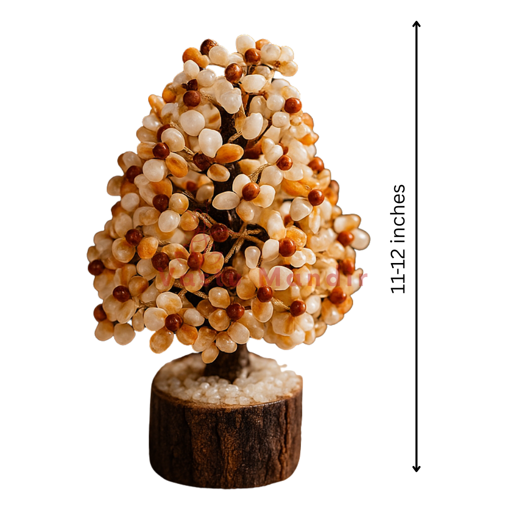 Rudraksha Gomti chakra tree on a clean white background