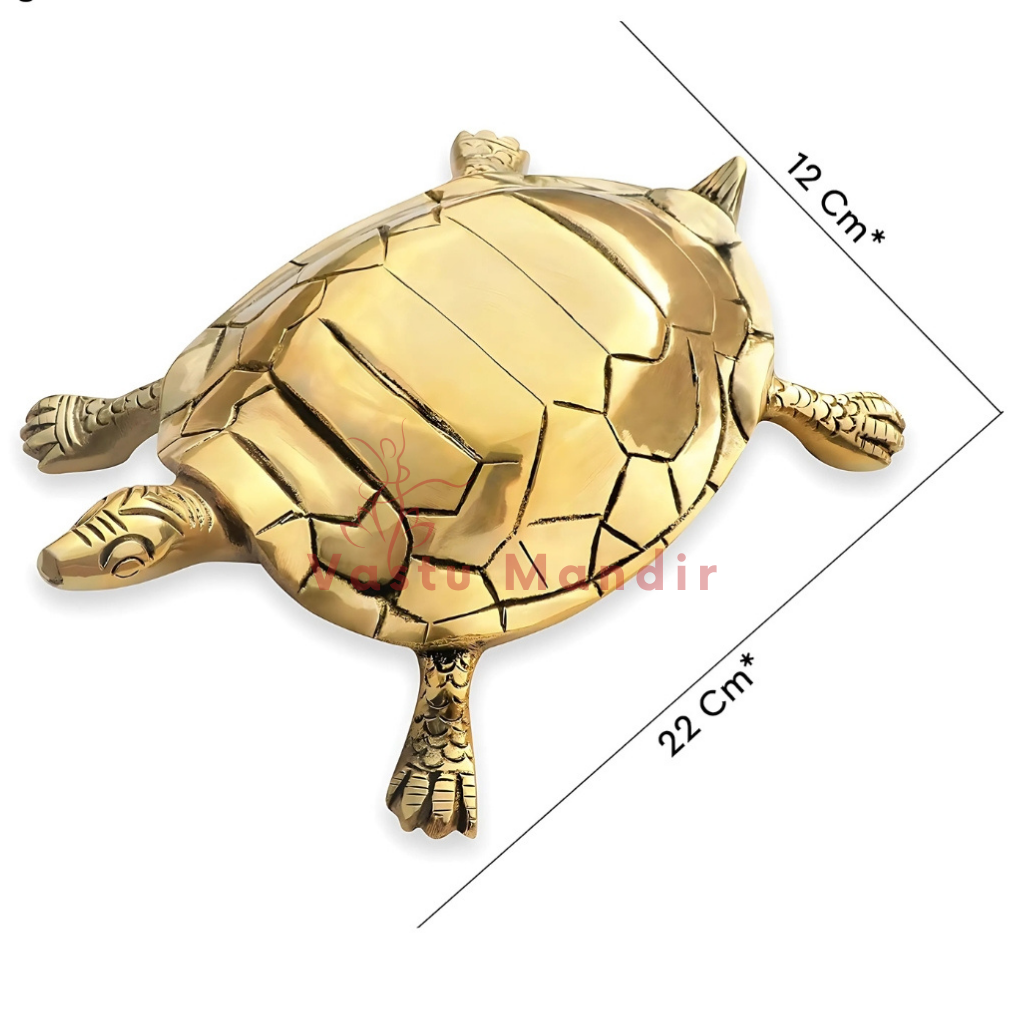 Large pure brass tortoise idol dimension diagram showing 22 cm length and 12 cm width