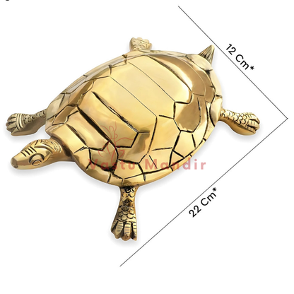 Large pure brass tortoise idol dimension diagram showing 22 cm length and 12 cm width