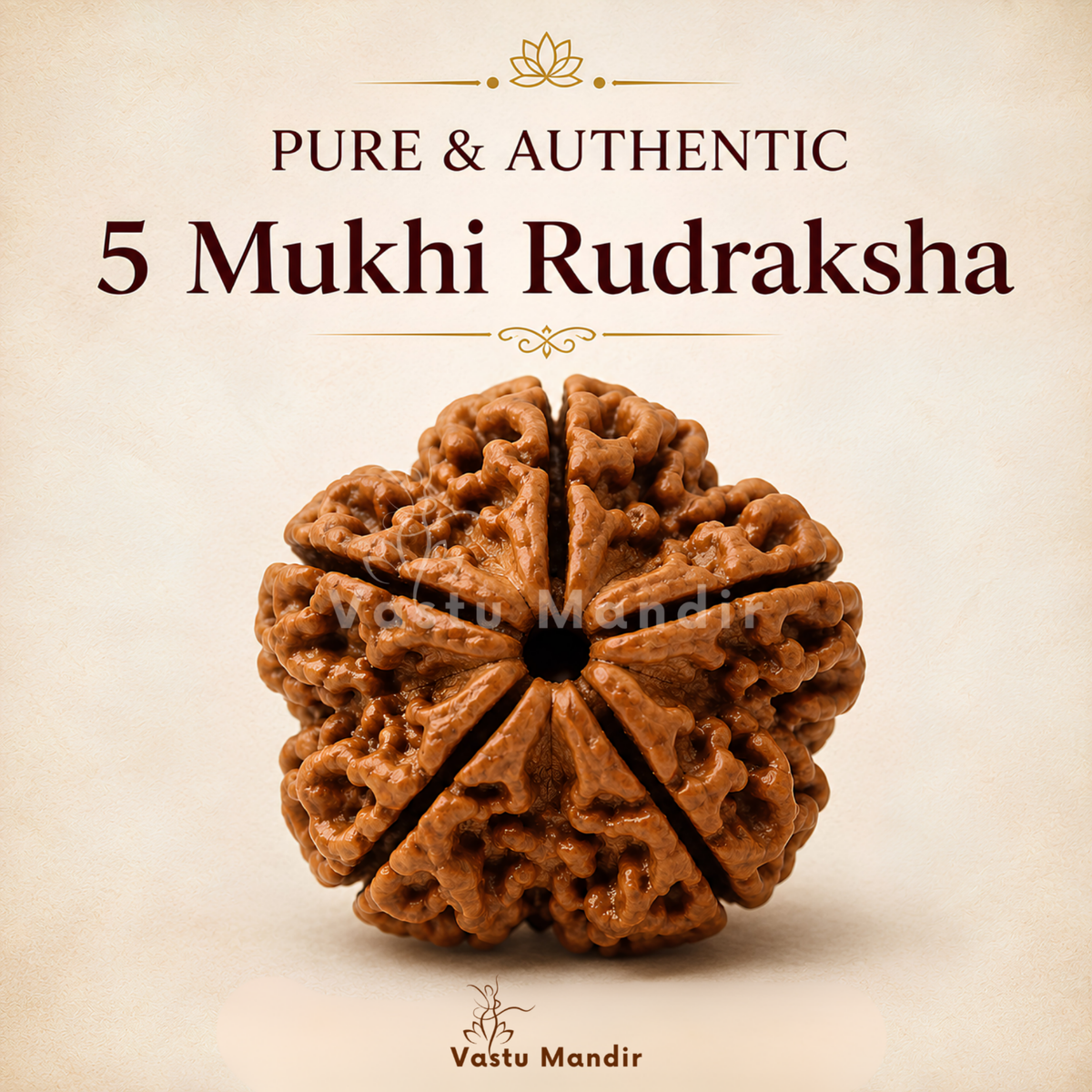 Nepali 5 Mukhi Rudraksha – Vastu Remedy for Health Protection & Jupiter Balance | Ideal for East Direction Healing