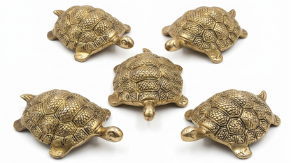 Set of five brass turtle figurines on a white background