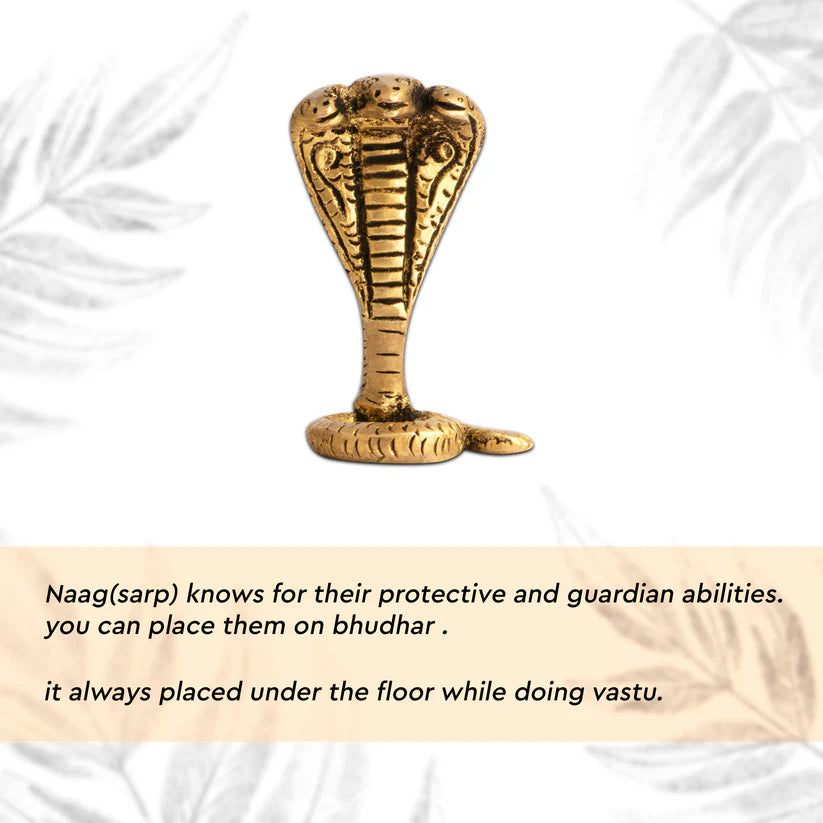 Three-headed brass snake idol traditional symbolism infographic with the three-headed snake idol