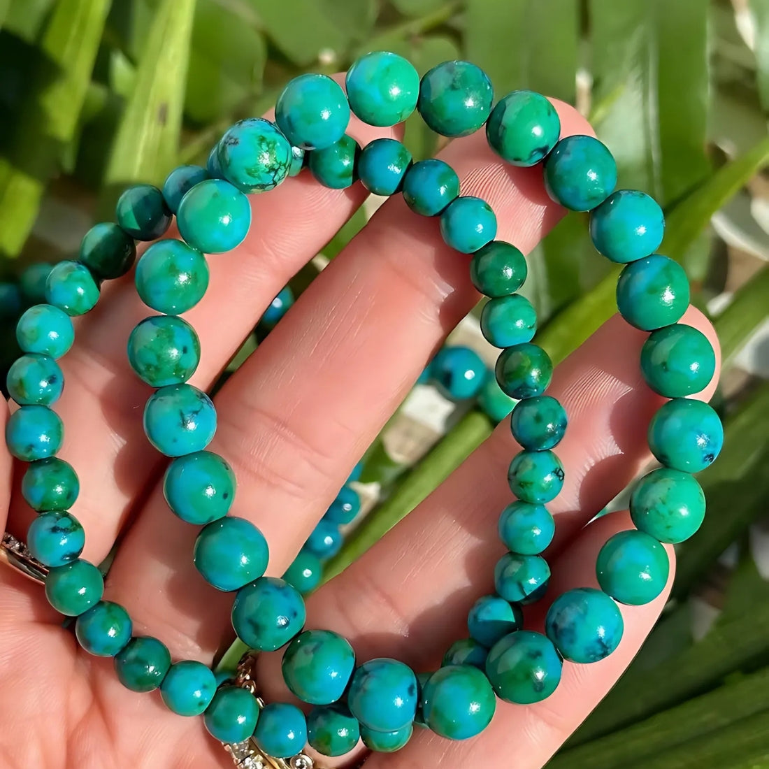 Chrysocolla bracelet displayed on natural wood beside green foliage