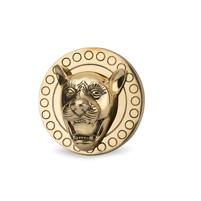 Brass lion face with removable talwar front view of the circular lion-face medallion