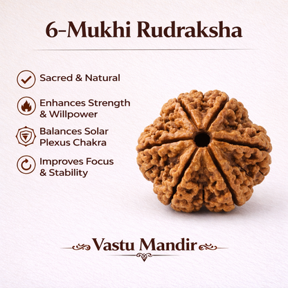6 Mukhi Rudraksha – Vastu Remedy for Stability