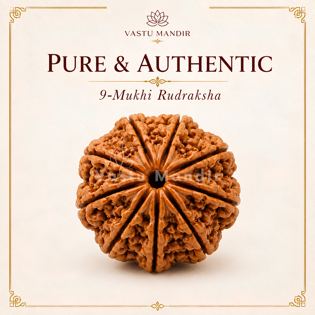 Certified 9 Mukhi Rudraksha – Vastu Remedy for Power, Courage & Durga Protection | Ideal for South Direction Strength