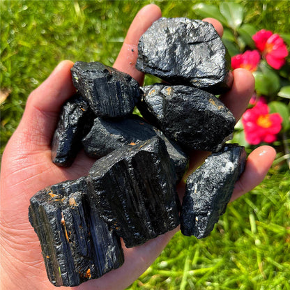 Hand holding several rough black tourmaline chunks outdoors among green leaves