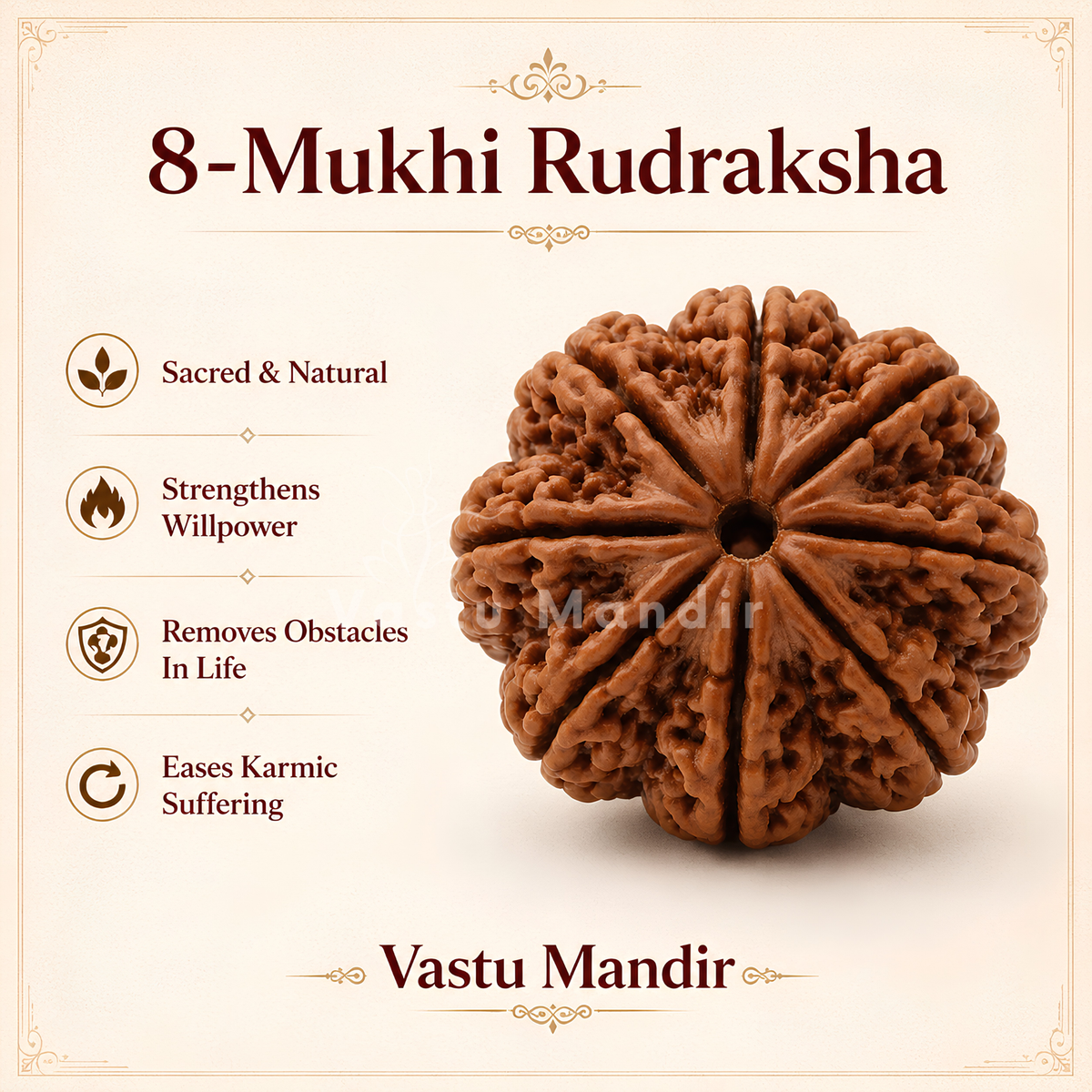Verified 8 Mukhi Rudraksha – Vastu Remedy for Obstacle Removal & Ganesha Blessings | Ideal for Main Entrance Protection