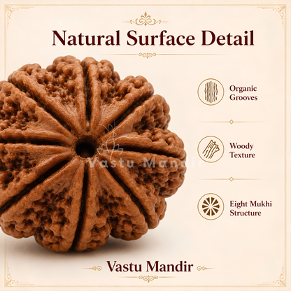 Verified 8 Mukhi Rudraksha – Vastu Remedy for Obstacle Removal & Ganesha Blessings | Ideal for Main Entrance Protection