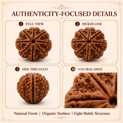 Verified 8 Mukhi Rudraksha – Vastu Remedy for Obstacle Removal & Ganesha Blessings | Ideal for Main Entrance Protection