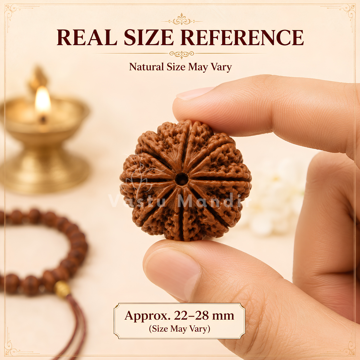Verified 8 Mukhi Rudraksha – Vastu Remedy for Obstacle Removal & Ganesha Blessings | Ideal for Main Entrance Protection