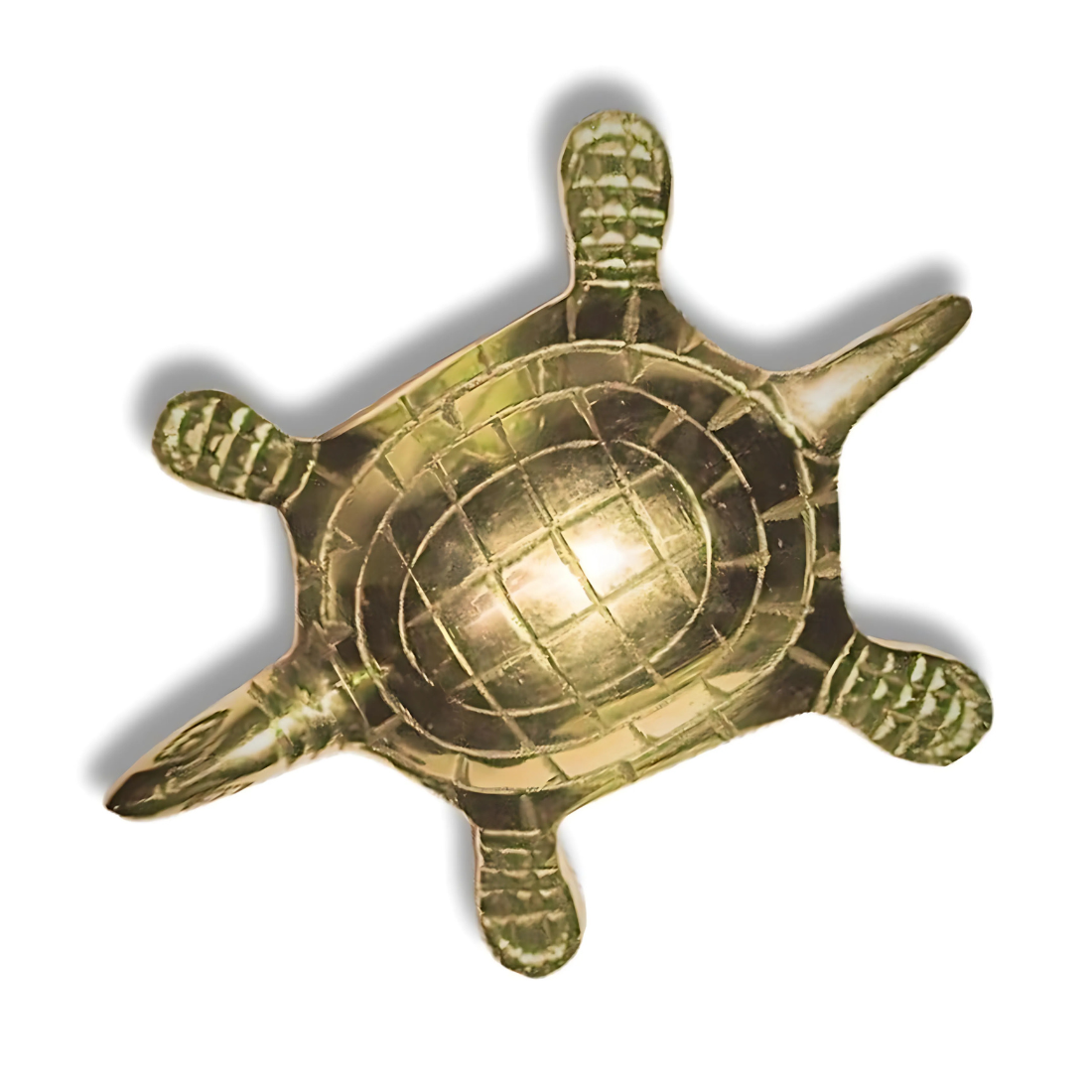 Brass tortoise idol with yantra grid plain shell top view isolated on white background