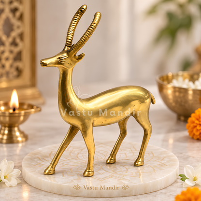 Handcrafted Brass Deer Idol Vastu Remedy for Stability, Stamina and Energy Balance for WNW Zone, Home and Office Placement | 12 x 22 cm | 820 gm