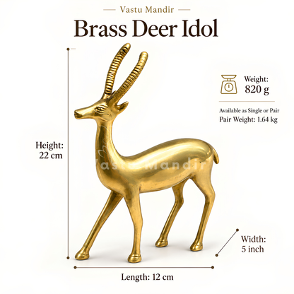 Handcrafted Brass Deer Idol Vastu Remedy for Stability, Stamina and Energy Balance for WNW Zone, Home and Office Placement | 12 x 22 cm | 820 gm