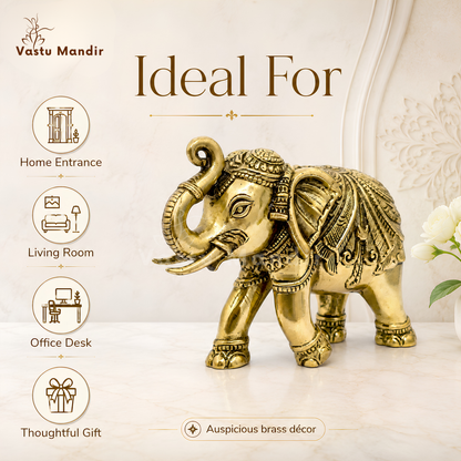 4-inch royal brass elephant figurine front view isolated on white background