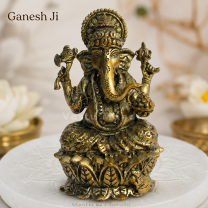 Brass Ganesha idol on lotus base alternate front angle on a white display platform