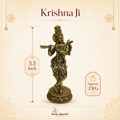 Brass Lord Krishna idol front view isolated on white background