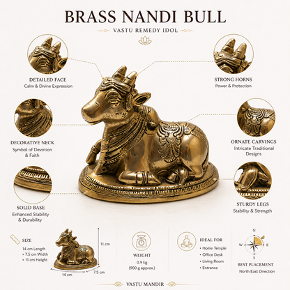 Brass Nandi Bull idol with detailed features and specifications on a white background
