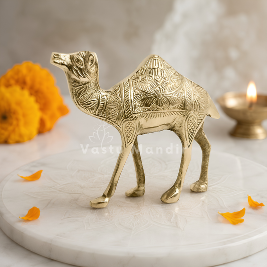 Brass Camel Idol Vastu Remedy for Business Growth, Stability and Career Progress for Home and Office | 16 x 16 x 6 cm | 780 g