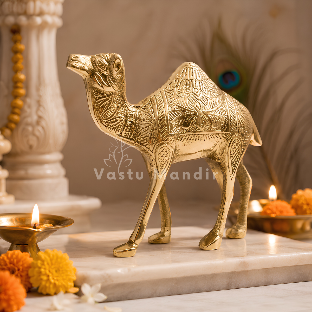 Brass Camel Idol Vastu Remedy for Business Growth, Stability and Career Progress for Home and Office | 16 x 16 x 6 cm | 780 g