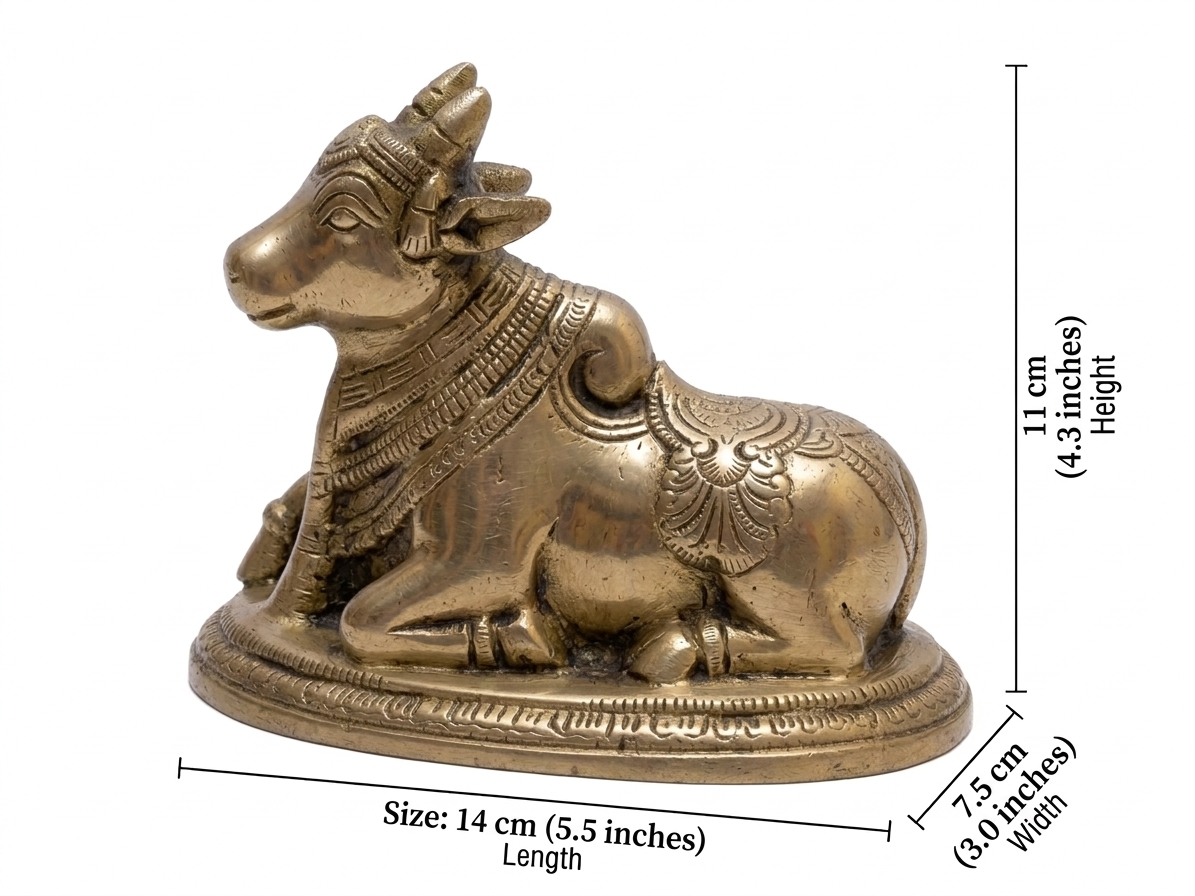 Brass Nandi bull statue with measurements on a white background