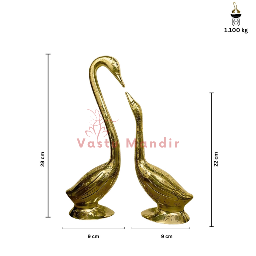 Brass swan pair dimension diagram comparing the two swan heights