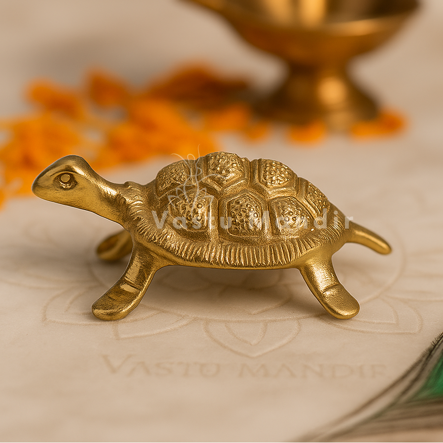 brass turtle figurine on a textured surface with a blurred background