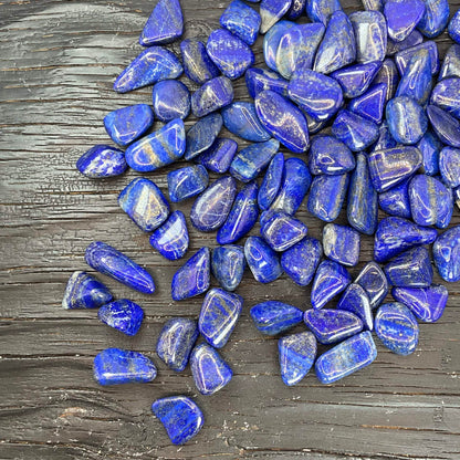 Elongated lapis lazuli chips spread across a grey textured surface