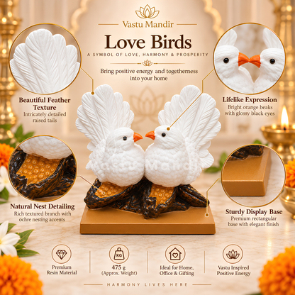 Graceful Love Birds Pair Resin Sculpture Vastu Remedy for Love, Harmony and Relationship Balance for Bedroom, Living Room and Couple Decor | 14.5 x 12.5 x 10 cm | 475 g